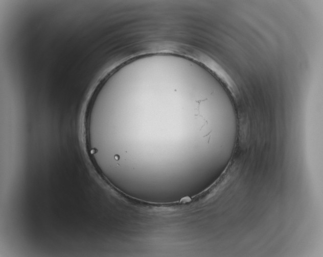 X0000102301088200808081539