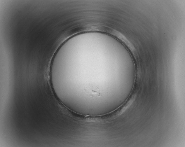 X0000102301089200808081539