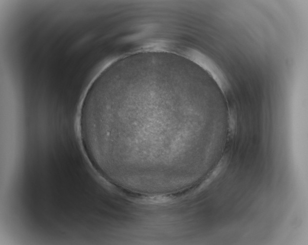 X0000102301090200808081539