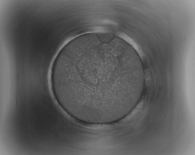 X0000102301091200808081539