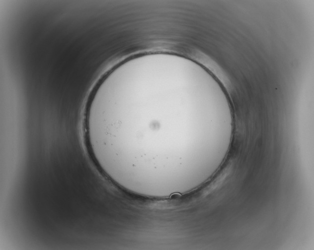 X0000102301093200808081539