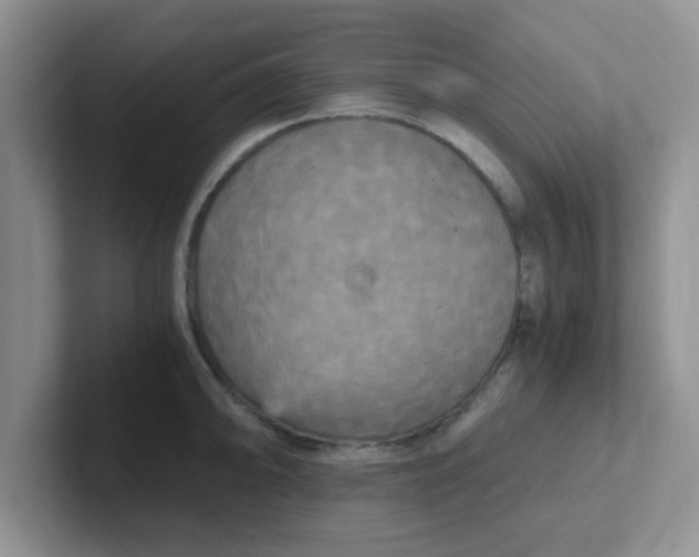 X0000102301094200808081539