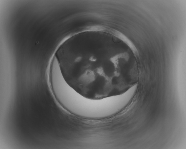 X0000102301095200808081539