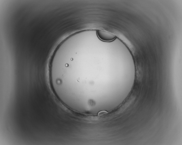 X0000102301096200808081539