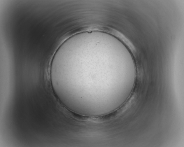 X0000102301097200808081539