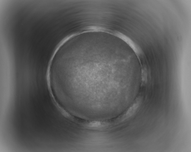 X0000102301098200808081539