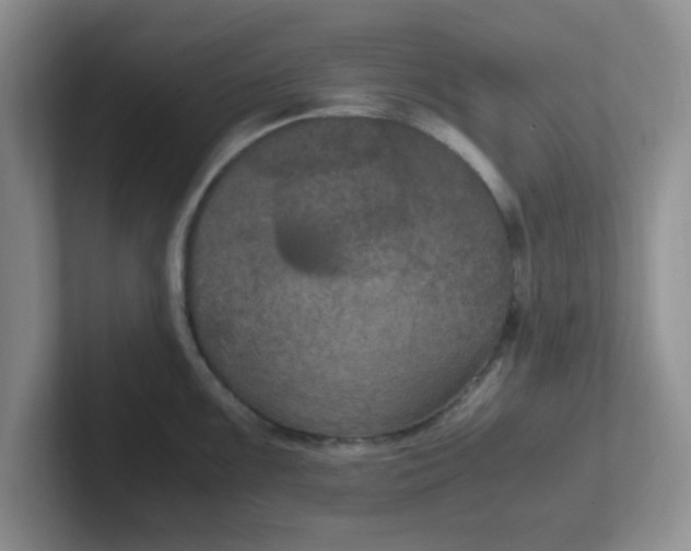 X0000102301099200808081539