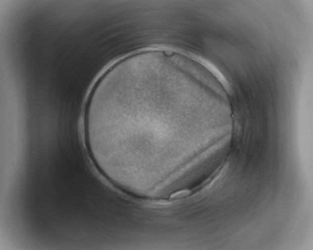 X0000102301100200808081539