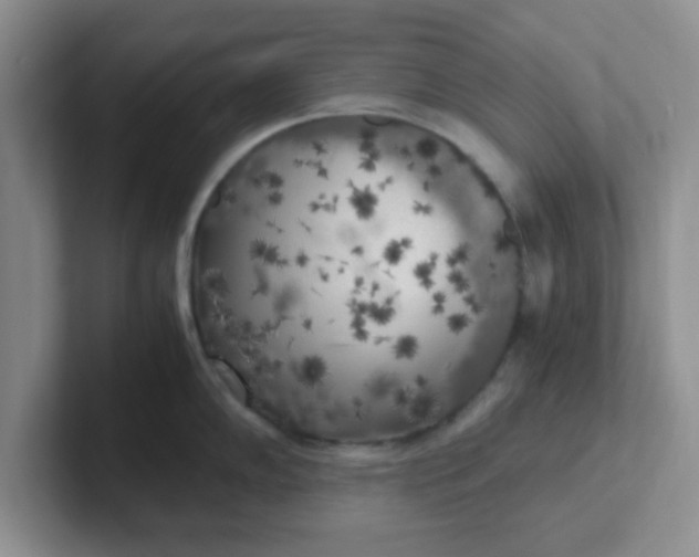 X0000102301102200808081539