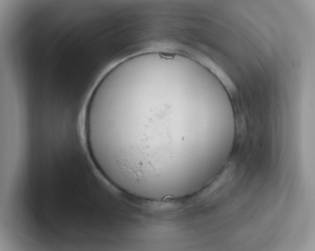 X0000102301103200808081539