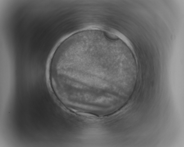 X0000102301104200808081539