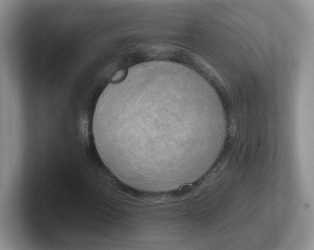 X0000102301108200808081538