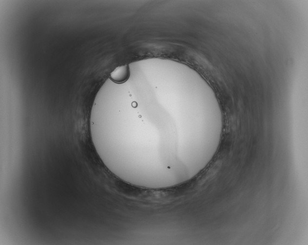 X0000102301109200808081538