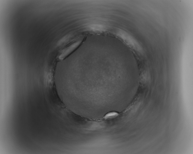 X0000102301110200808081538