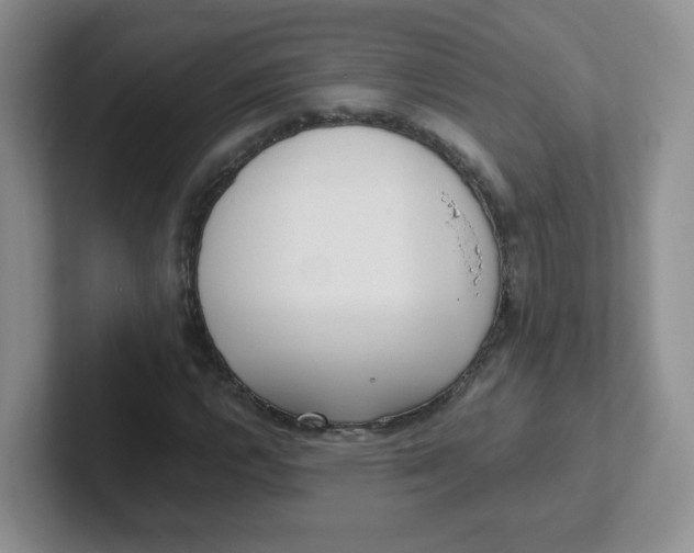 X0000102301112200808081539