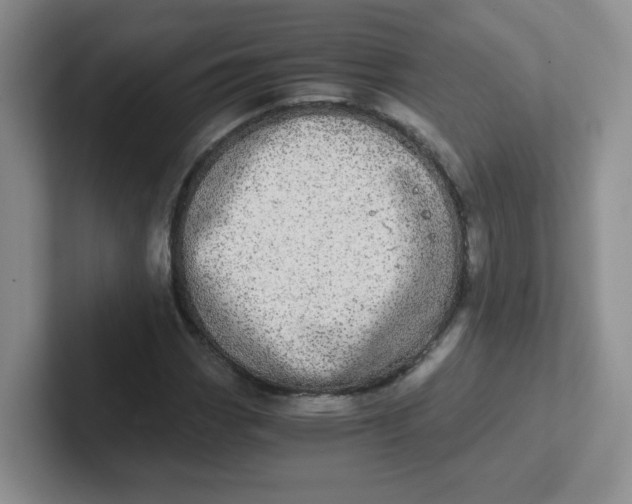 X0000102301113200808081539