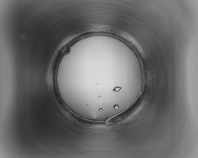 X0000102301114200808081539