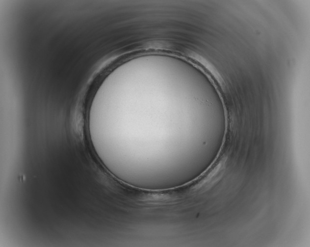 X0000102301115200808081539