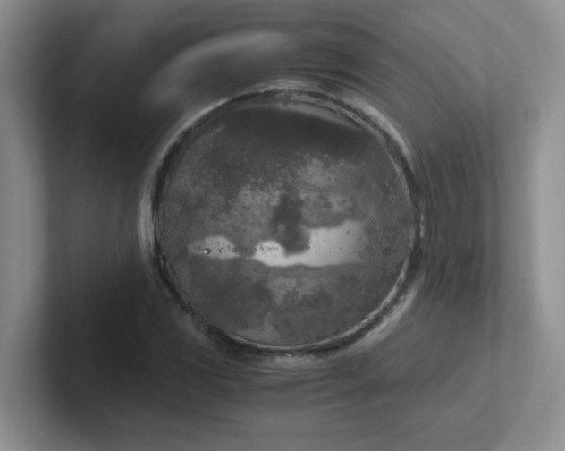 X0000102301117200808081539