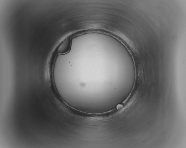 X0000102301118200808081539