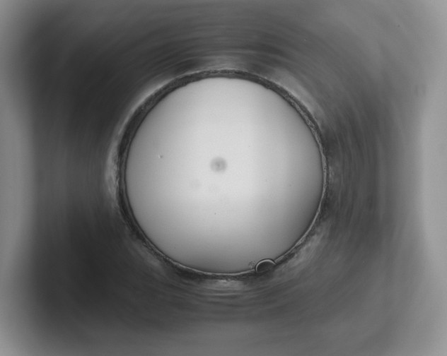 X0000102301119200808081539