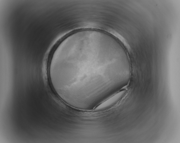 X0000102301120200808081539