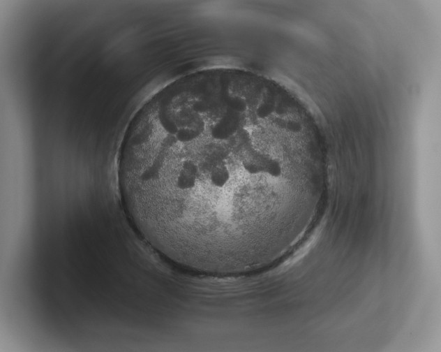 X0000102301121200808081539