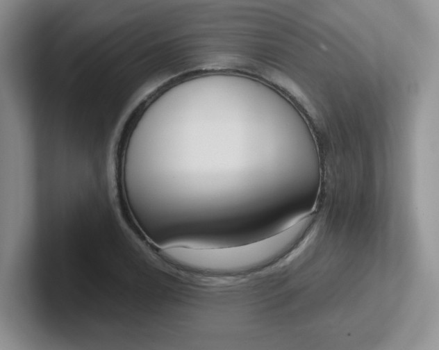 X0000102301122200808081539