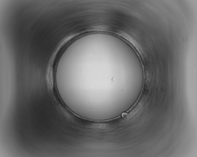 X0000102301123200808081539