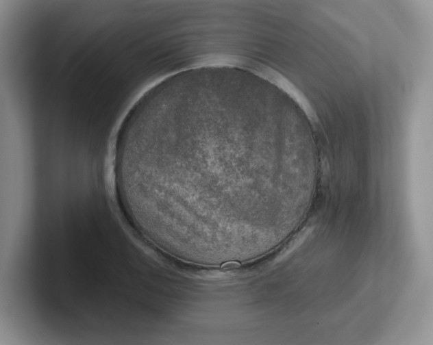 X0000102301124200808081539