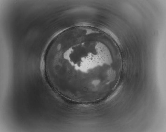 X0000102301125200808081539