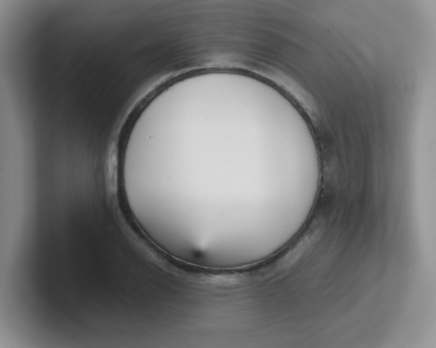 X0000102301126200808081539