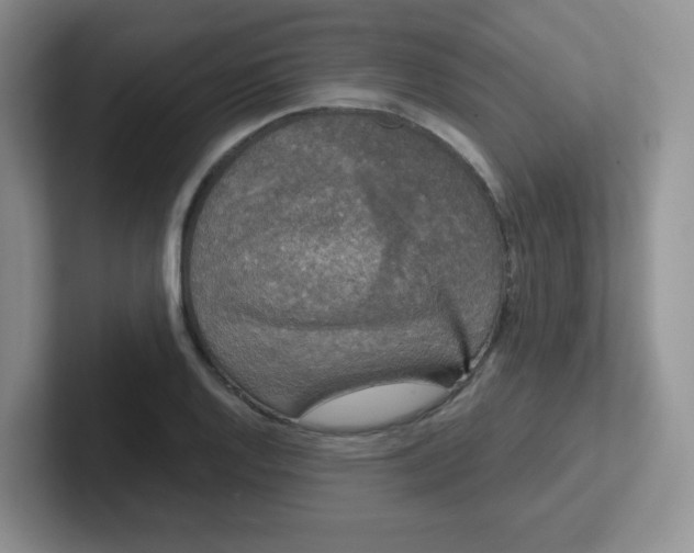 X0000102301128200808081539