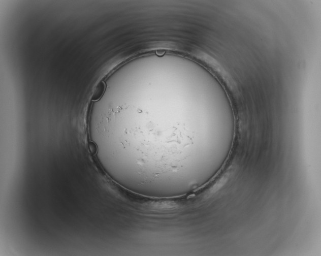 X0000102301129200808081539