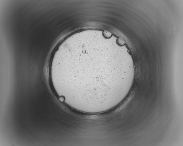 X0000102301130200808081539