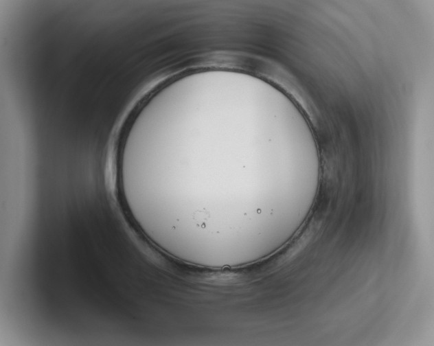 X0000102301131200808081539