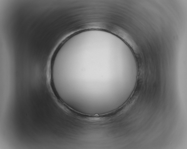 X0000102301132200808081539