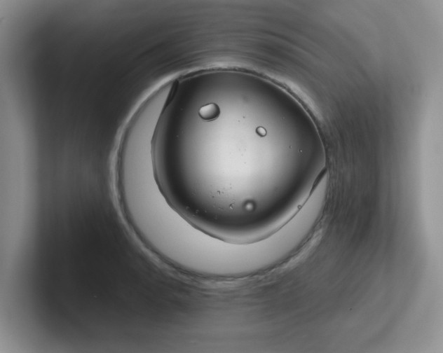 X0000102301134200808081539