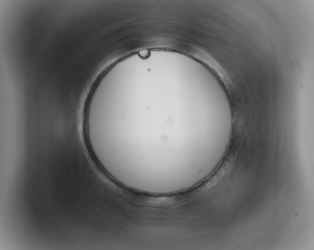 X0000102301135200808081539