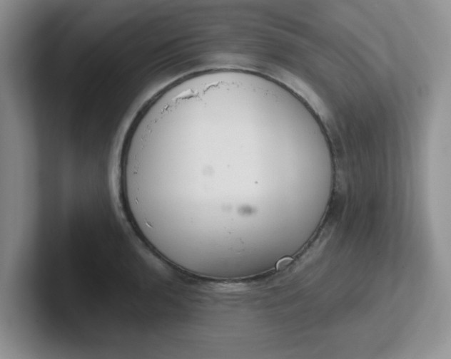 X0000102301136200808081539