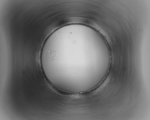 X0000102301137200808081539