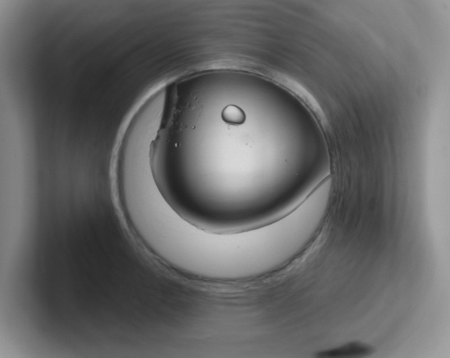 X0000102301138200808081539