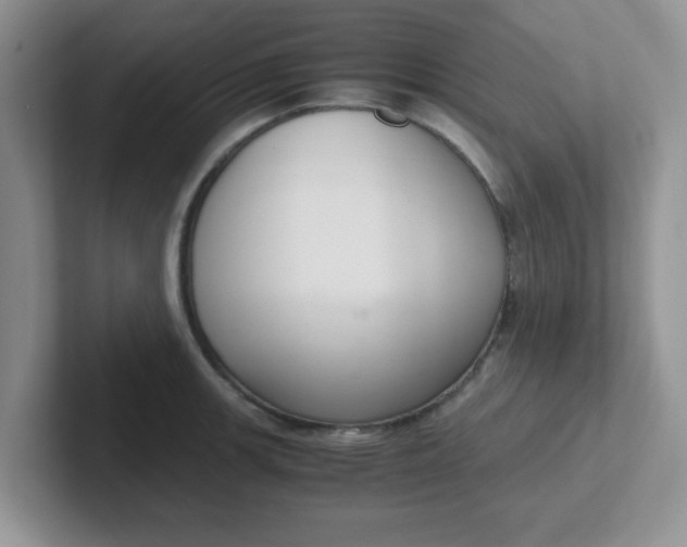 X0000102301139200808081539