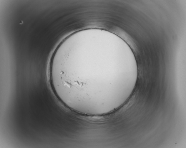 X0000102301140200808081539