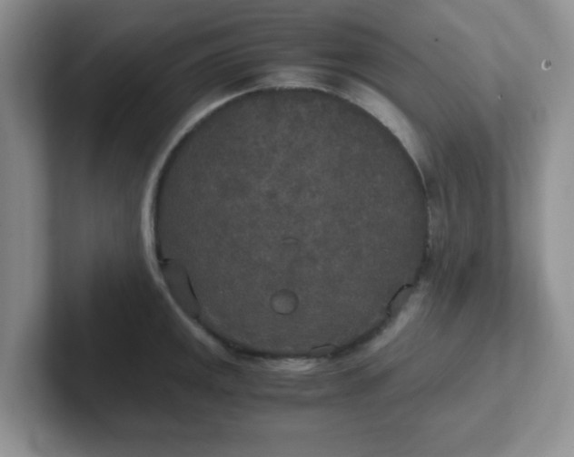 X0000102301141200808081539