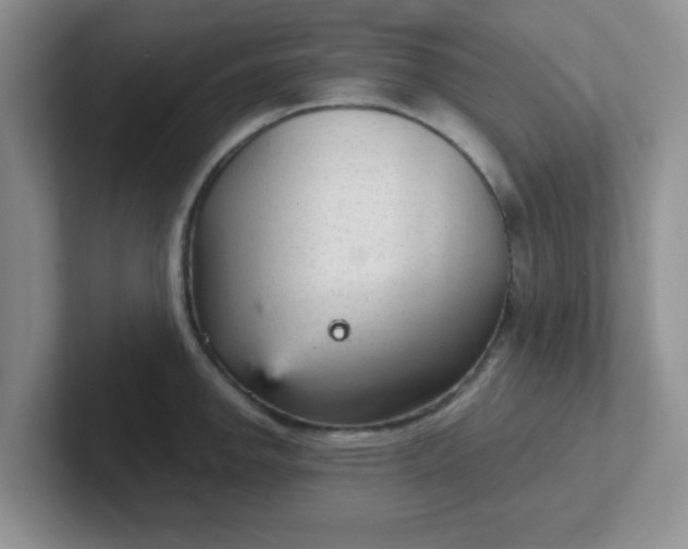 X0000102301142200808081539