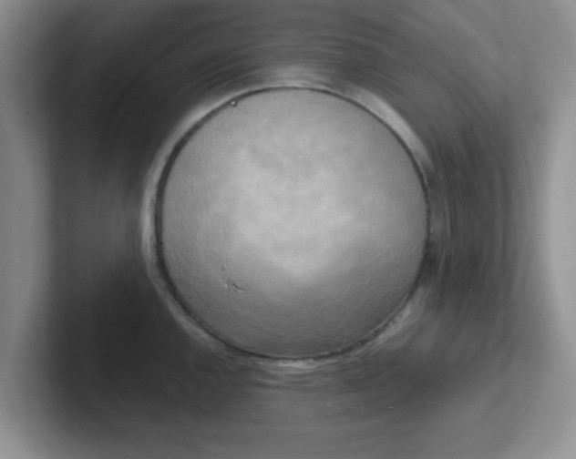 X0000102301144200808081539