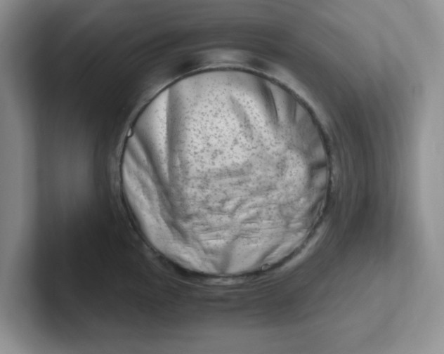 X0000102301145200808081539