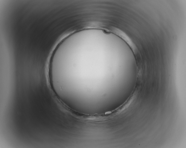 X0000102301146200808081539