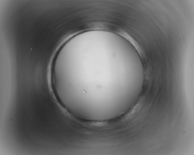 X0000102301147200808081539